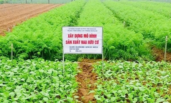nông nghiệp Việt Nam