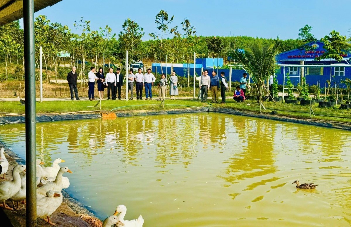 Hưởng ứng Lễ tôn vinh để khẳng định giá trị và thương hiệu sản phẩm nông nghiệp hữu cơ
