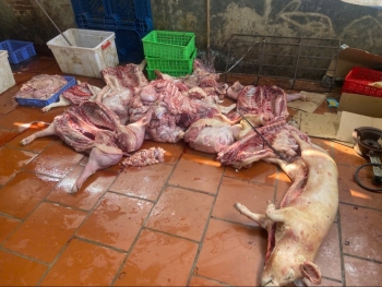 Hưng Yên: Chuyển hồ sơ vụ gần 1 tấn thịt lợn có dấu hiệu vi phạm sang cơ quan điều tra