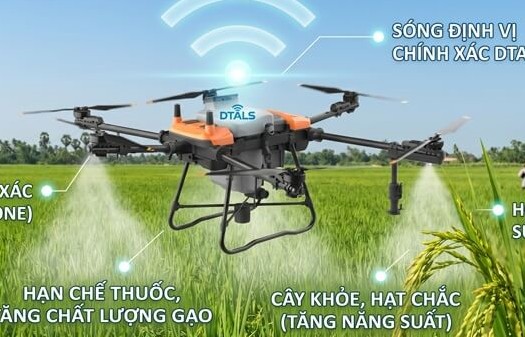 Cách mạng công nghệ cao: Lời giải cho bài toán phát triển nông nghiệp Việt