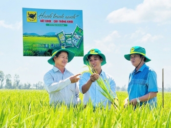 Đất khỏe, cây khỏe, người nông dân thêm niềm tin