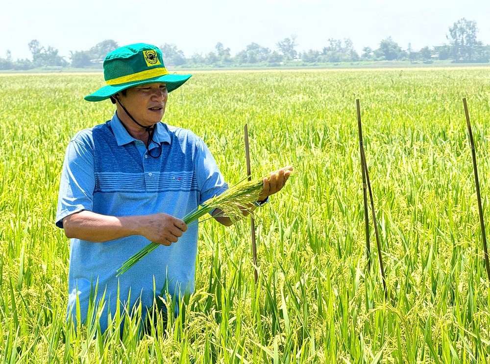 Đất khỏe, cây khỏe, người nông dân thêm niềm tin