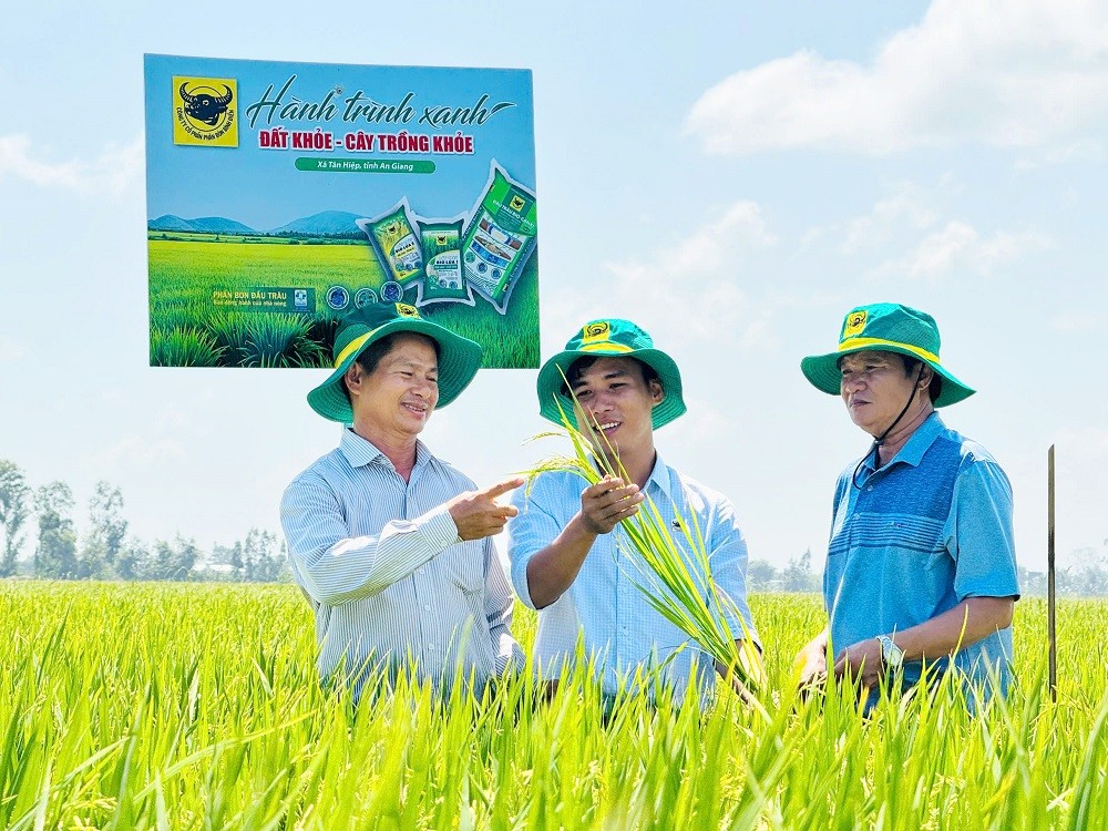 Đất khỏe, cây khỏe, người nông dân thêm niềm tin