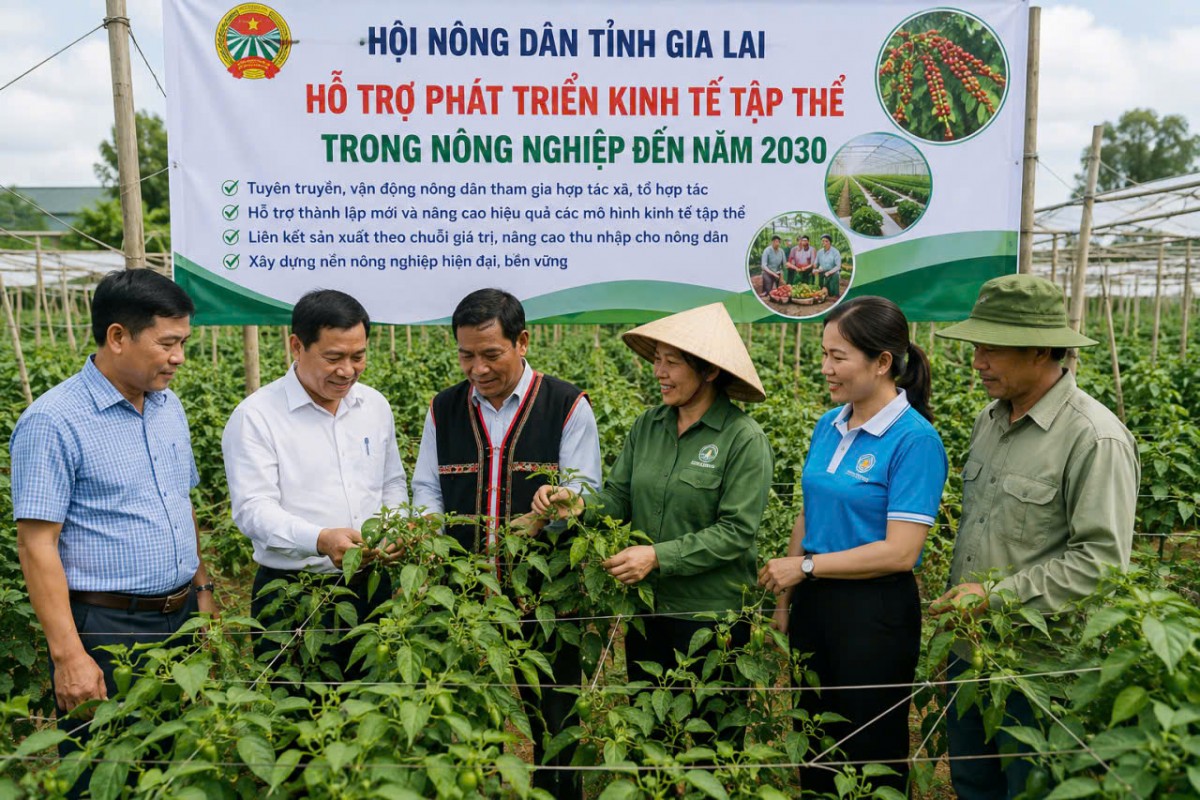 Gia Lai triển khai Đề án Hội Nông dân tham gia phát triển kinh tế tập thể đến năm 2030