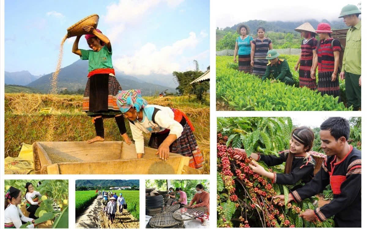 Lâm Đồng yêu cầu đẩy nhanh giải ngân các Chương trình mục tiêu quốc gia
