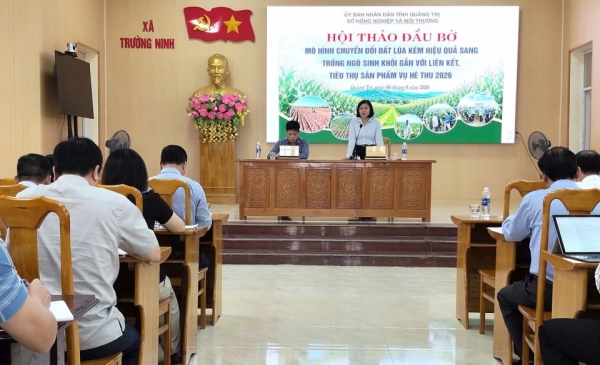 Quảng Trị: Hội thảo đầu bờ mô hình chuyển đổi đất lúa kém hiệu quả sang trồng ngô sinh khối