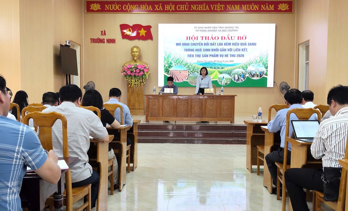 Quảng Trị: Hội thảo đầu bờ mô hình chuyển đổi đất lúa kém hiệu quả sang trồng ngô sinh khối