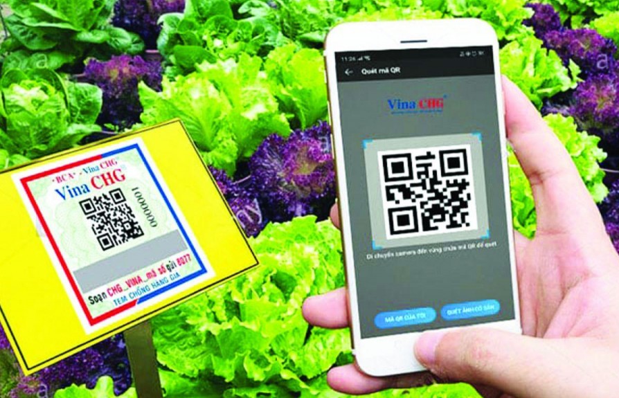 Làm nông nghiệp hữu cơ: Khó hôm nay để dễ ngày mai