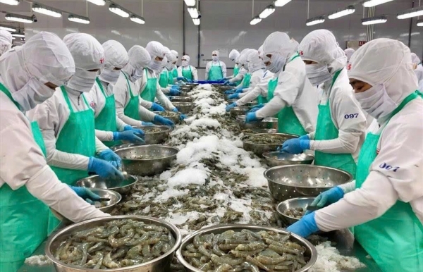 Kiểm soát dư lượng kháng sinh: Chìa khóa nâng cao giá trị thủy sản Việt Nam