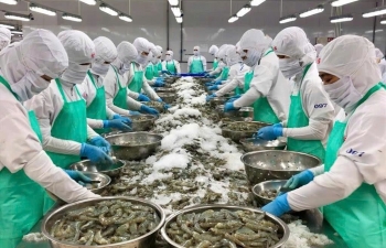 Kiểm soát dư lượng kháng sinh: Chìa khóa nâng cao giá trị thủy sản Việt Nam