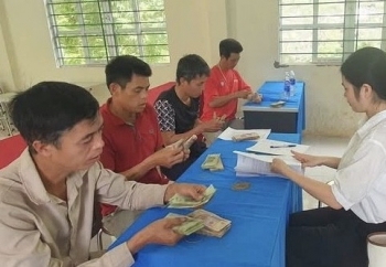 Cao Bằng: Quỹ Hỗ trợ nông dân tỉnh giải ngân 750 triệu đồng cho Dự án “Trồng và chăm sóc cây keo”