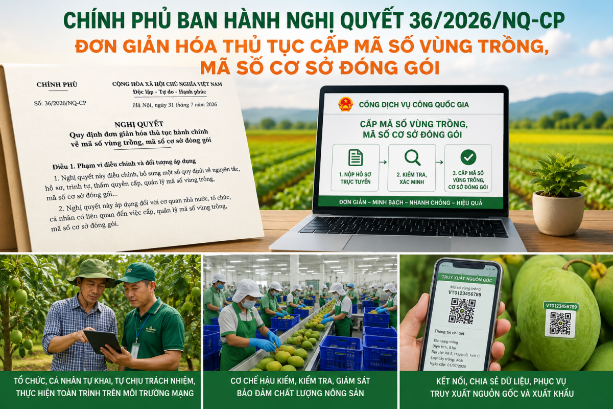 Đắk Lắk đơn giản hóa cho các thủ tục trong cấp mã số vùng trồng, cơ sở đóng gói nông sản