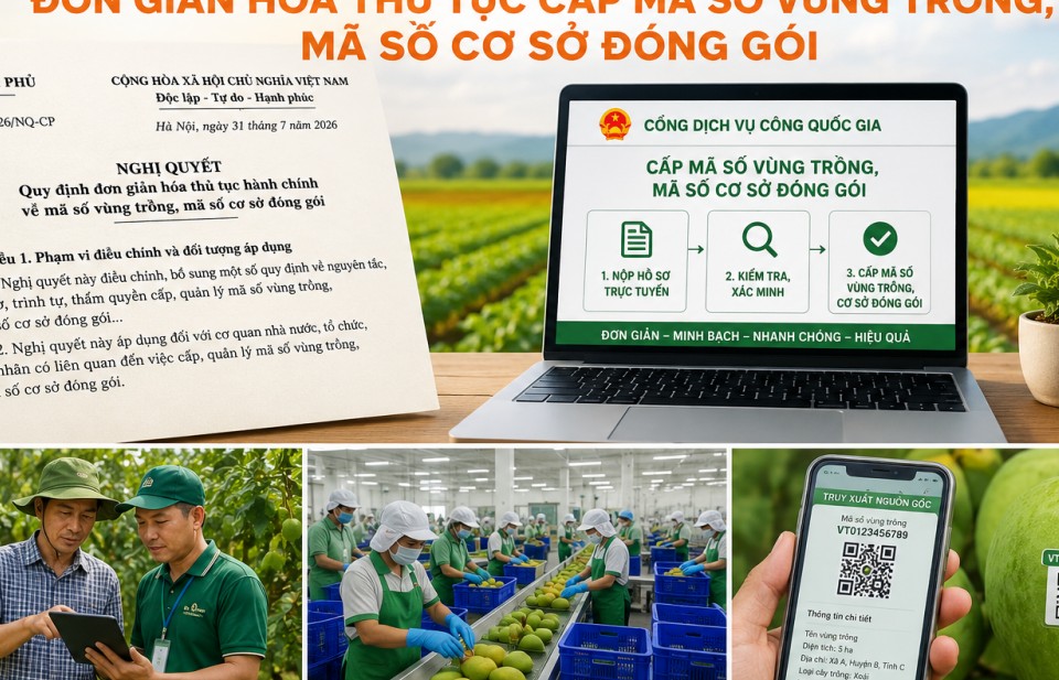 Đắk Lắk đơn giản hóa cho các thủ tục trong cấp mã số vùng trồng, cơ sở đóng gói nông sản