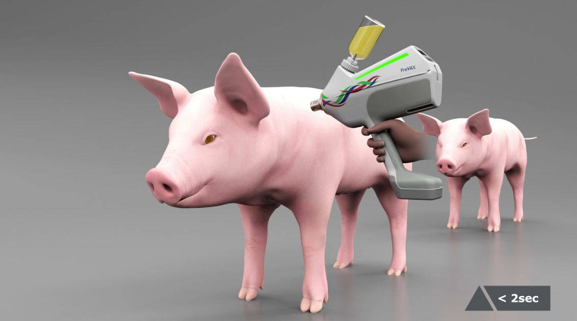 Robot AI tiêm vaccine không kim cho lợn đạt độ chính xác 93,3%