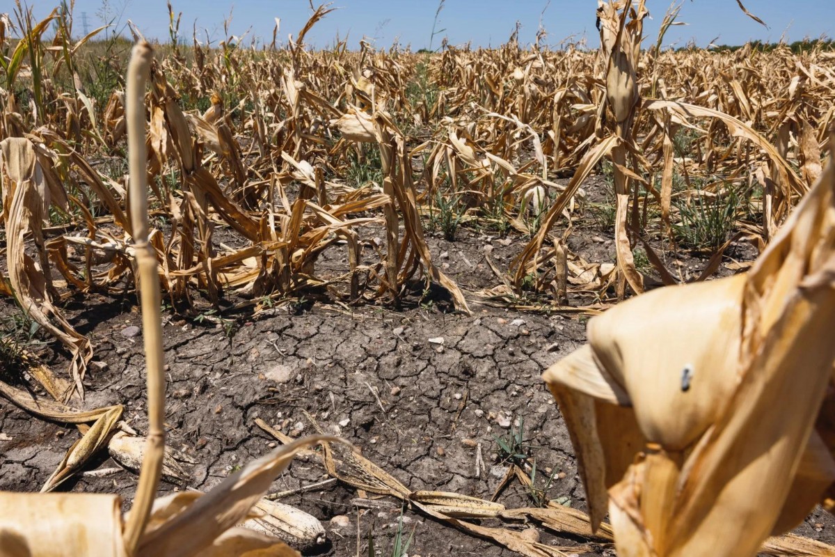 LHQ cảnh báo El Nino có thể đạt đỉnh từ tháng 9-12, tác động kéo dài sang năm 2027