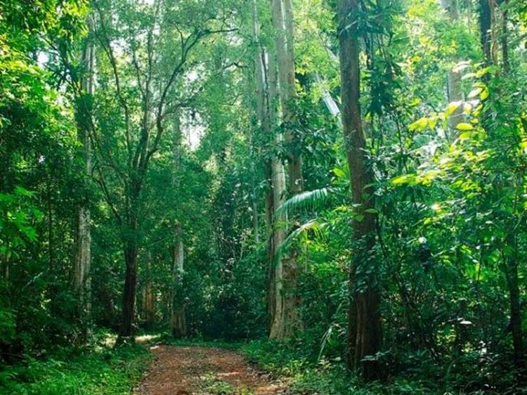 Một số vấn đề về phát triển du lịch sinh thái trong khu dự trữ sinh quyển Cát Bà