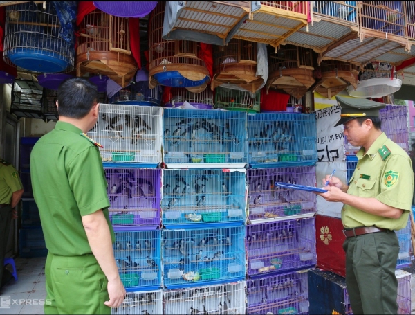 Đồng Tháp siết chặt kiểm tra, xử lý vi phạm về động vật hoang dã