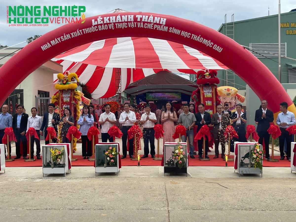 Lãnh đạo thành phố Đà Nẵng cùng đại diện OAU thực hiện nghi thức cắt băng khánh thành nhà máy, đánh dấu bước tiến mới của doanh nghiệp sau gần 20 năm nghiên cứu.