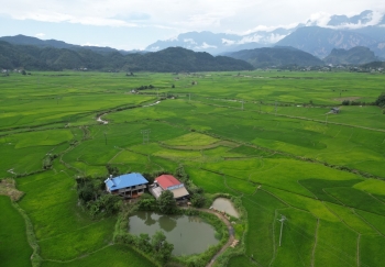 Mùa xanh trên cánh đồng Mường Than