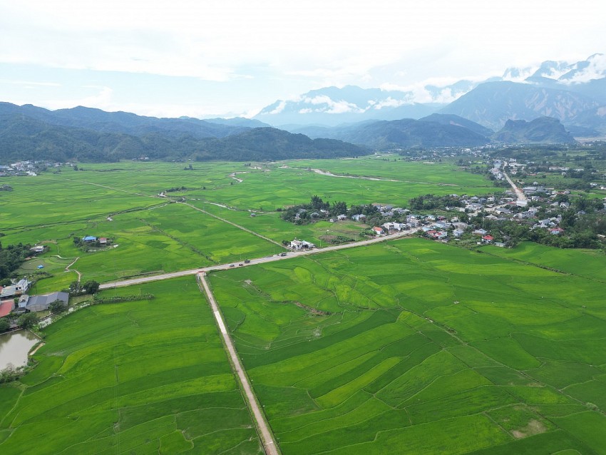 Mùa xanh trên cánh đồng Mường Than