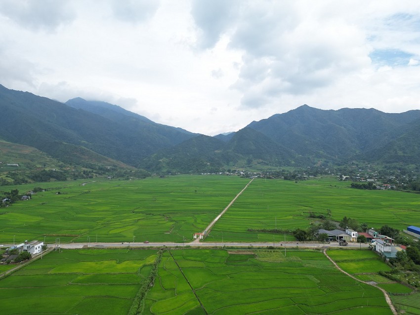 Mùa xanh trên cánh đồng Mường Than