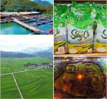 Than Uyên (Lai Châu): Đổi mới tư duy sản xuất, nâng tầm giá trị nông sản địa phương