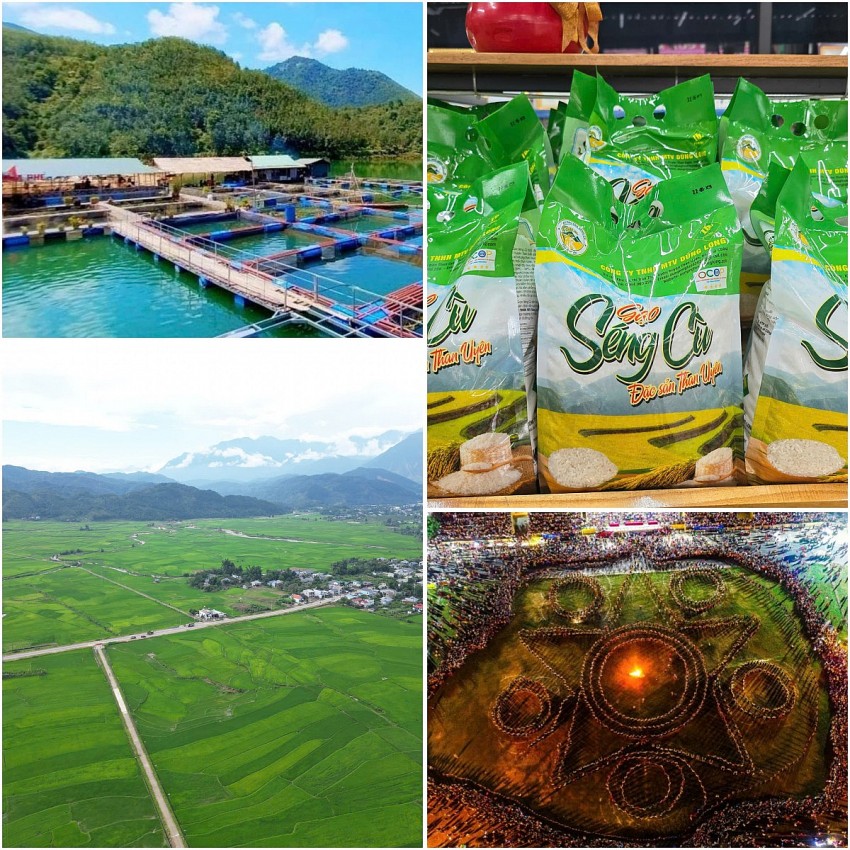 Than Uyên (Lai Châu): Đổi mới tư duy sản xuất, nâng tầm giá trị nông sản địa phương