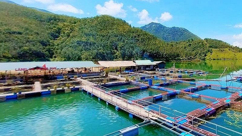 Than Uyên (Lai Châu): Đổi mới tư duy sản xuất, nâng tầm giá trị nông sản địa phương