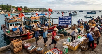 Lâm Đồng: Công bố 2 điểm neo đậu, bốc dỡ thủy sản tạm thời tại đặc khu Phú Quý
