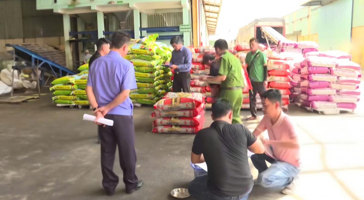 Đắk Lắk: Hai Tổng giám đốc lãnh án trong vụ sản xuất buôn bán hơn 1.750 tấn phân bón giả