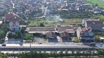 Quảng Ninh: Xử phạt Công ty TNHH Văn Huy chiếm đất trồng lúa để xây dựng chợ