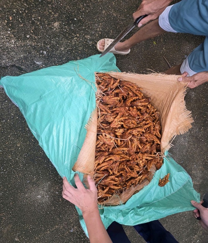 130 bao tải dứa, bên trong chứa chân gà đã qua chế biến, tổng số lượng 2.600kg