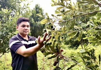 Mác ca mở hướng phát triển kinh tế nông nghiệp hiệu quả, bền vững