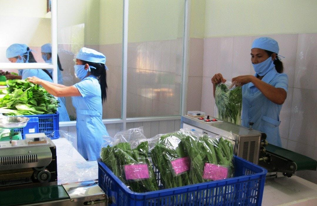 Phát triển chuỗi giá trị nông sản hữu cơ tại Việt Nam: Thực trạng, thách thức và giải pháp