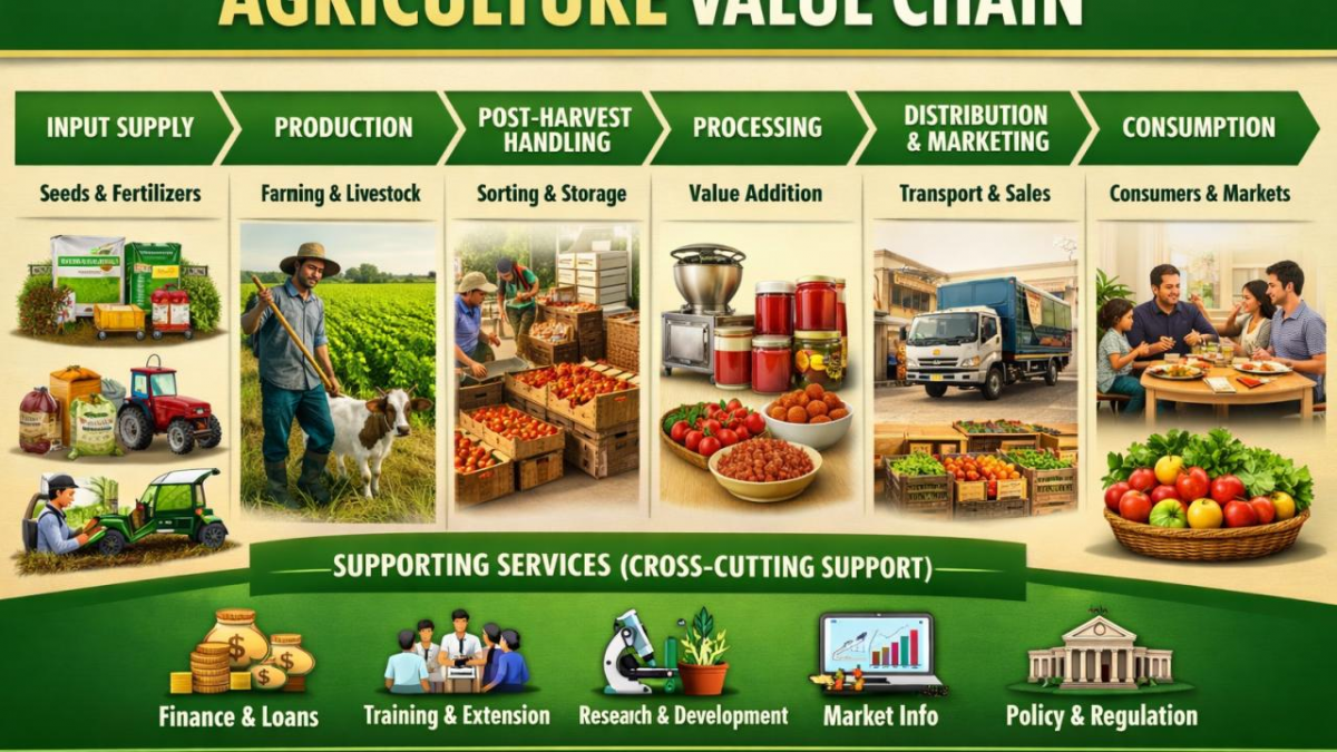 Phát triển chuỗi giá trị nông sản hữu cơ tại Việt Nam: Thực trạng, thách thức và giải pháp