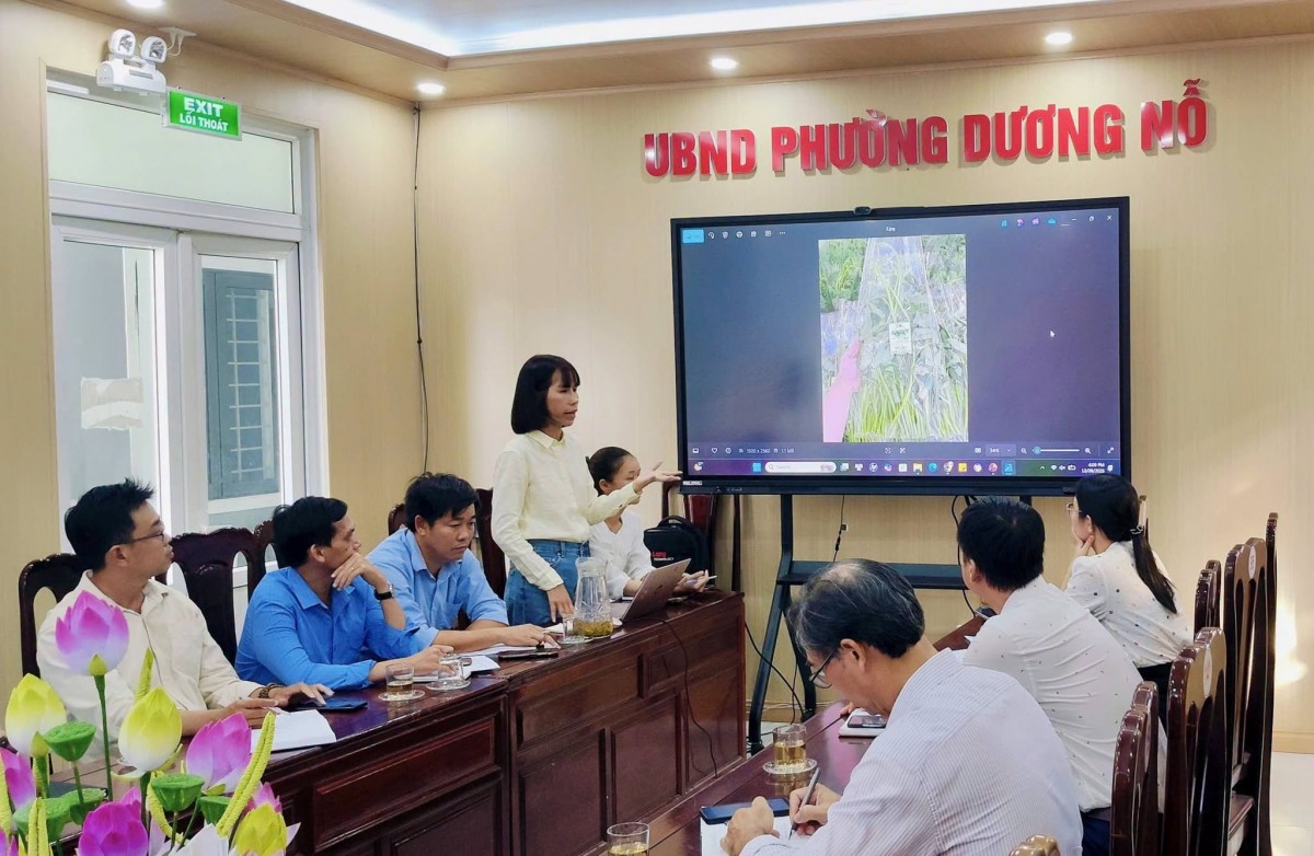 hội nghị