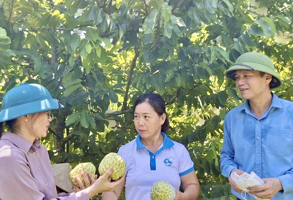 nguoi phu nu nang dong lam giau chinh dang tren manh dat que huong
