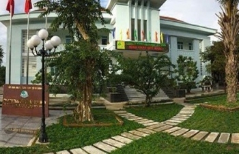 Gia Lai sáp nhập 14 công ty lâm nghiệp, hình thành doanh nghiệp Nhà nước mới hiệu quả