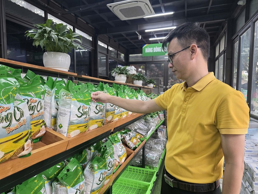 Nâng tầm hạt gạo đặc sản Than Uyên từ chuỗi liên kết bền vững
