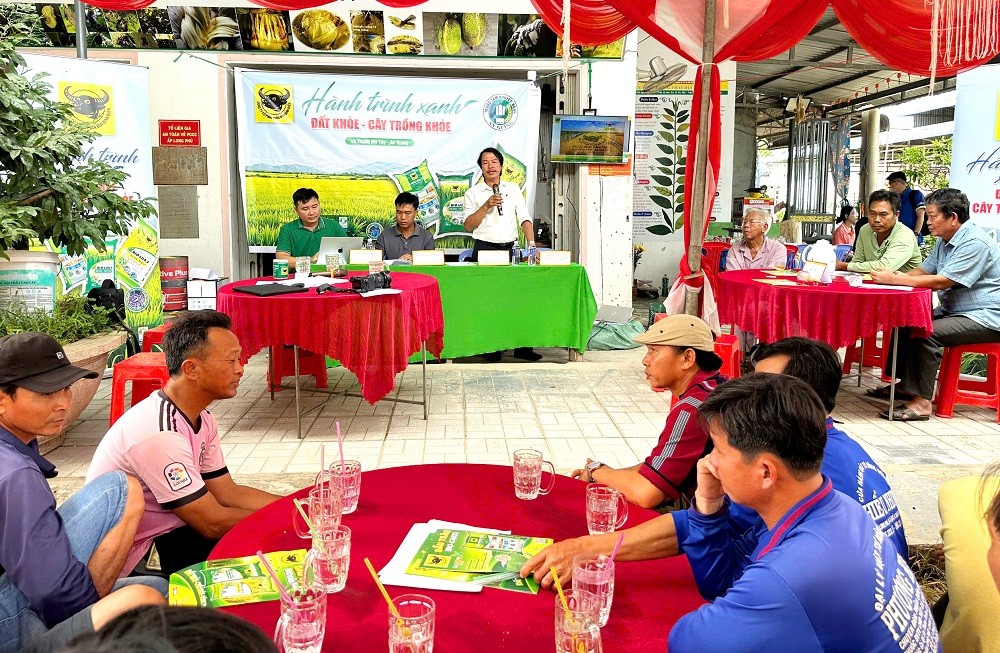 Nâng pH đất phèn- chìa khóa hạ giá thành lúa hè thu ở Tứ giác Long Xuyên