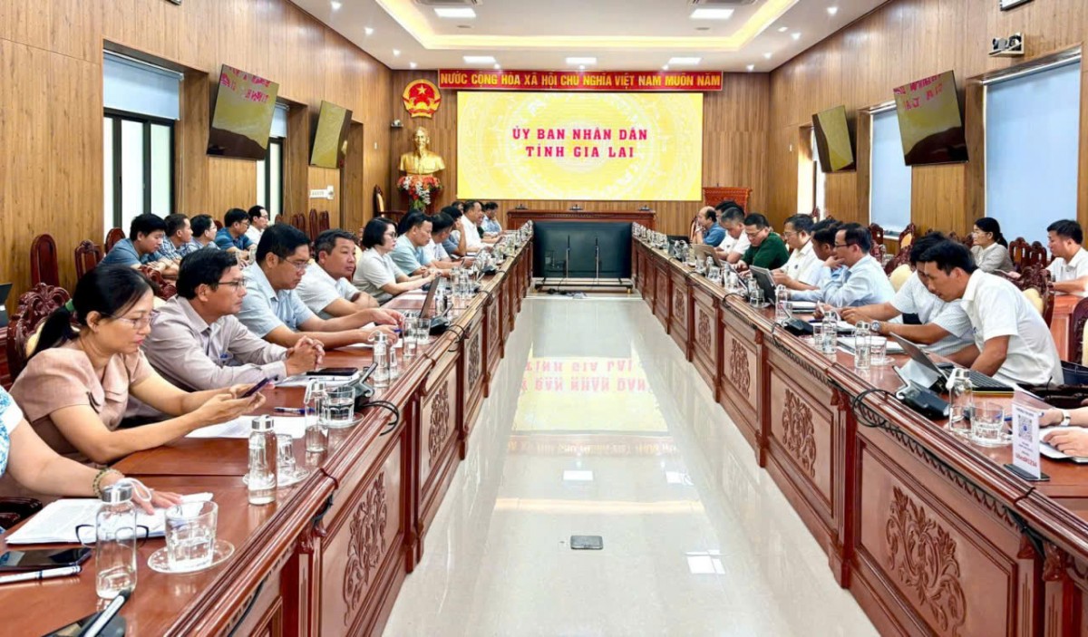Gia Lai quyết liệt chống khai thác IUU, hướng tới mục tiêu cảnh báo sớm gỡ “thẻ vàng” EC