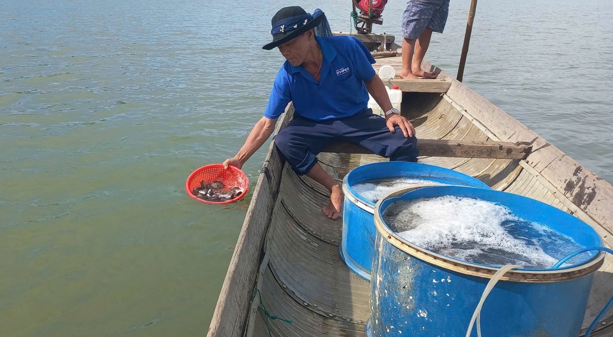 sinh kế ngày mai
