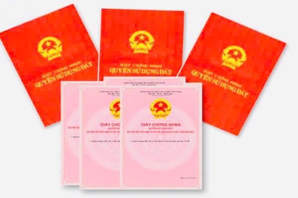 Lâm Đồng yêu cầu đẩy mạnh cấp Giấy chứng nhận quyền sử dụng đất lần đầu