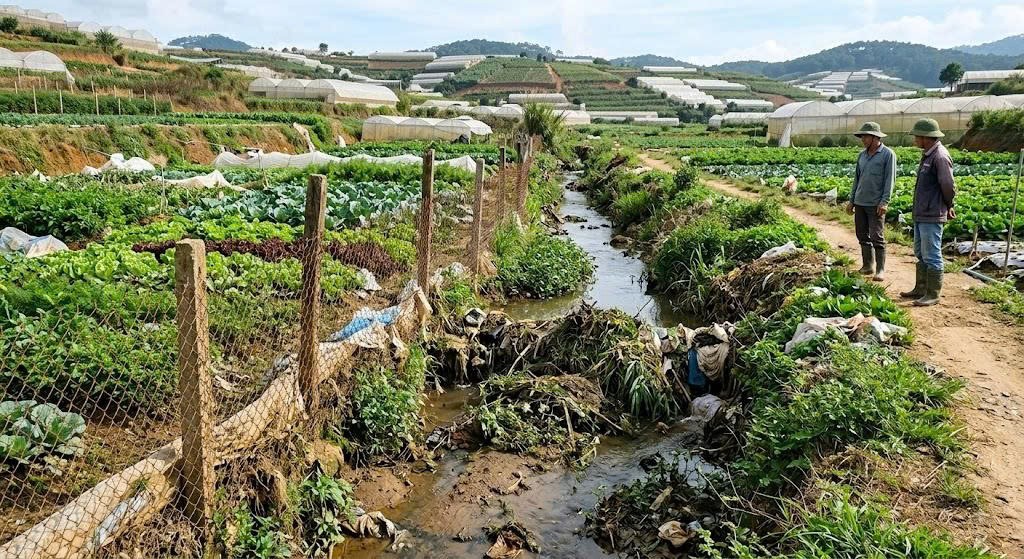 Lâm Đồng: Yêu cầu giải quyết nguy cơ ngập úng tại phường Lâm Viên - Đà Lạt