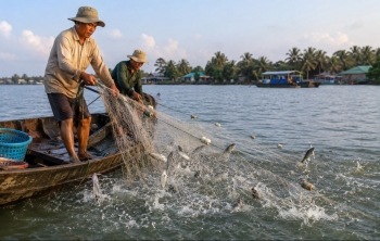 Đồng Tháp tăng cường phối hợp bảo vệ nguồn lợi thủy sản