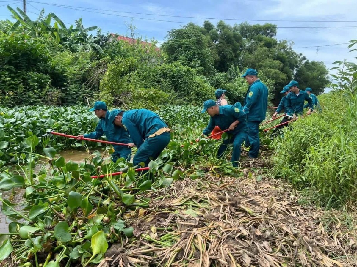 lực lượng tiên phong