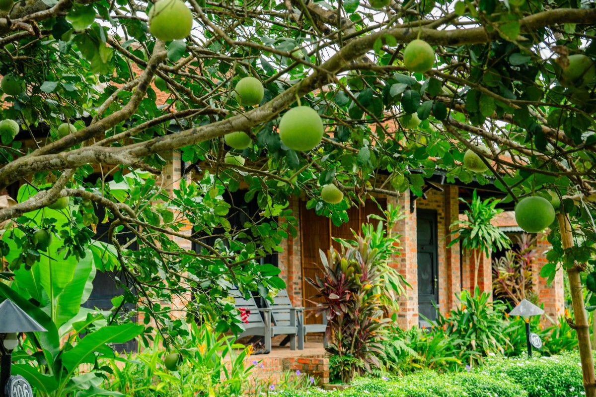 sản phẩm nông nghiệp