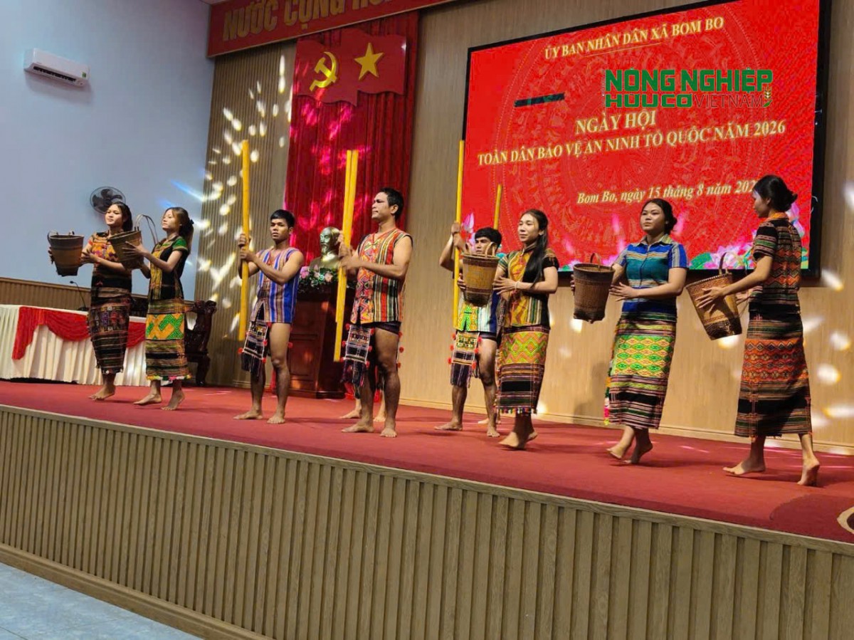 BomBo giữ gìn bản sắc văn hóa dân tộc, phát triển du lịch sinh thái và nông nghiệp bền vững