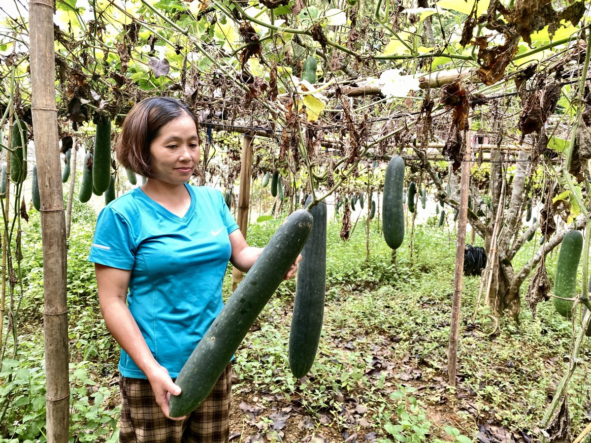 Nữ cán bộ Hội truyền lửa phong trào nông dân sản xuất giỏi