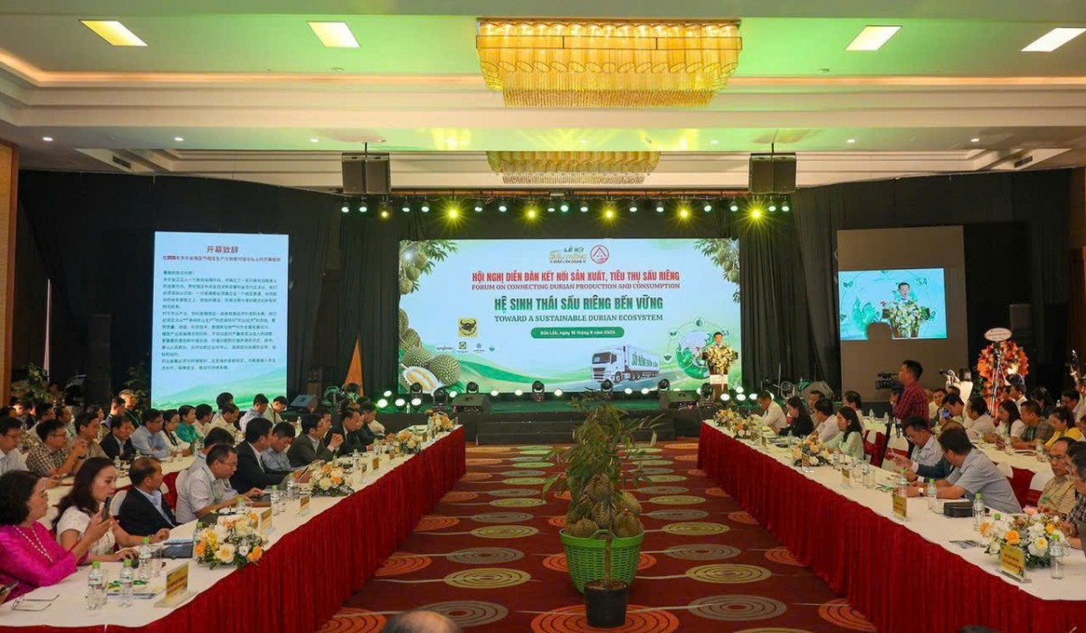 Đắk Lắk kết nối sản xuất tiêu thụ, xây dựng hệ sinh thái sầu riêng bền vững